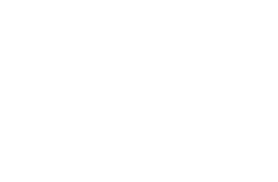 Penguin King